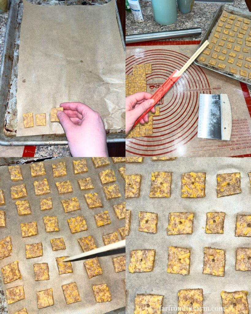 The Best Whole Wheat Cheesy Cracker Treats for Dogs!