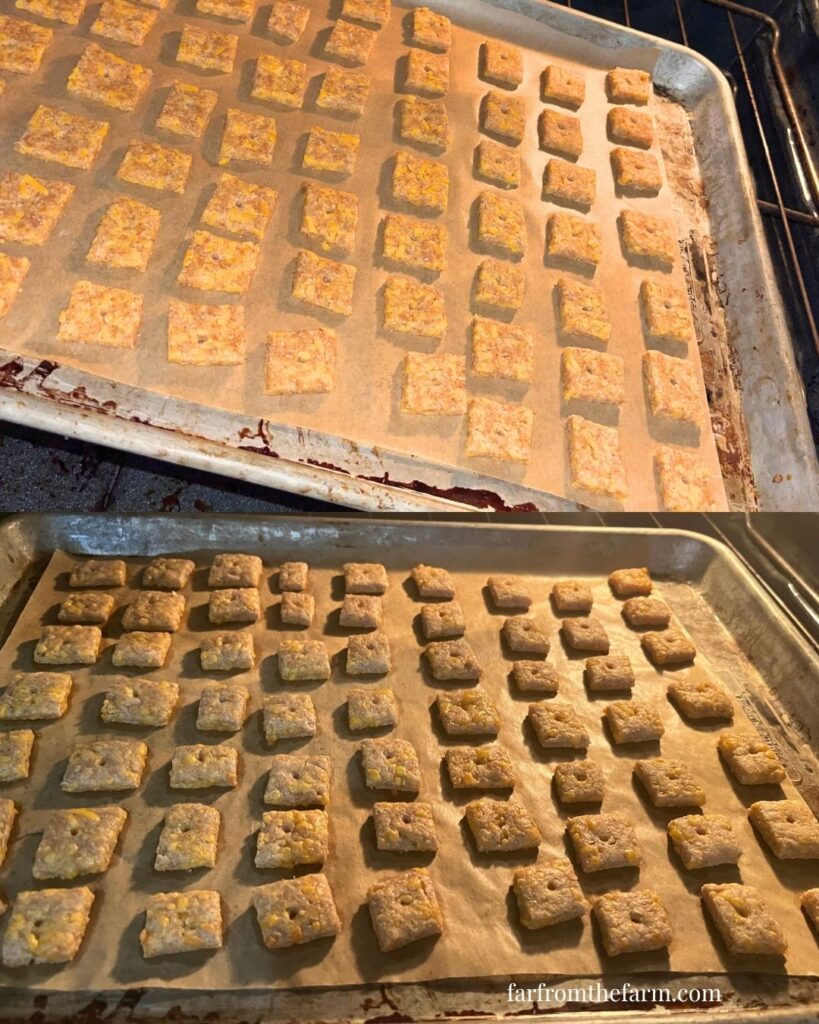 The Best Whole Wheat Cheesy Cracker Treats for Dogs!