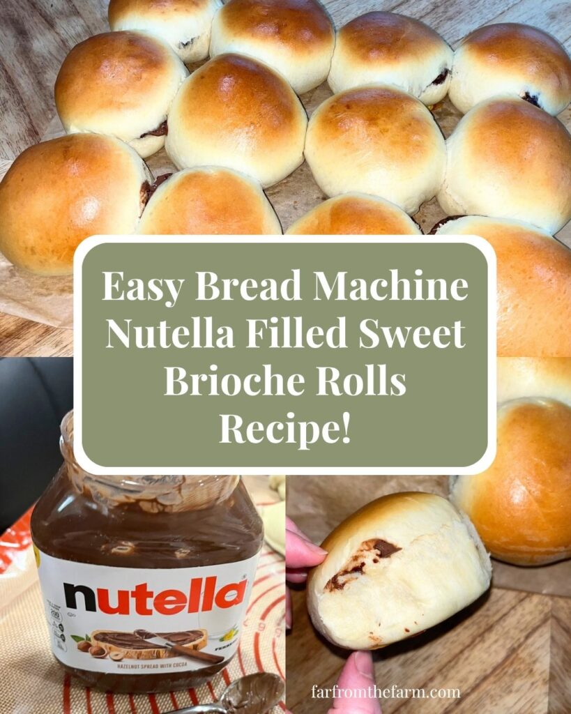 Easy Bread Machine Nutella Filled Sweet Brioche Rolls Recipe!