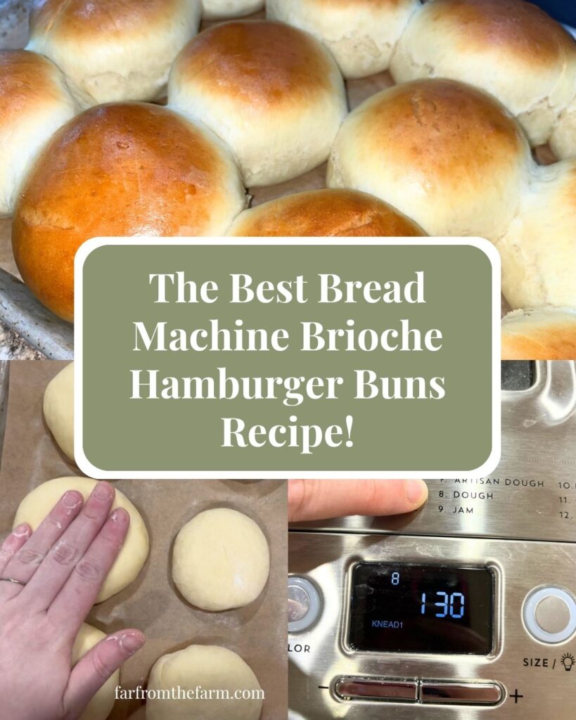 The Best Bread Machine Brioche Hamburger Buns Recipe!