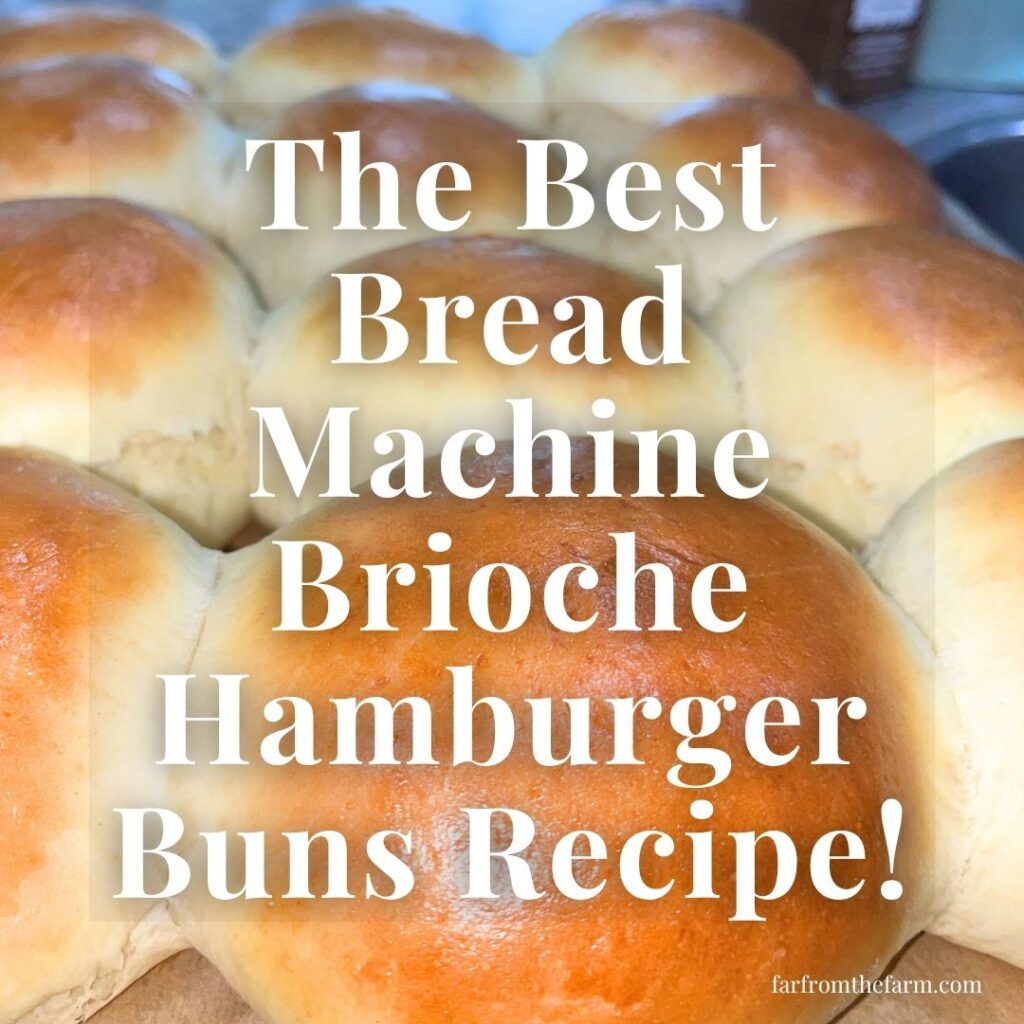 The Best Bread Machine Brioche Hamburger Buns Recipe!