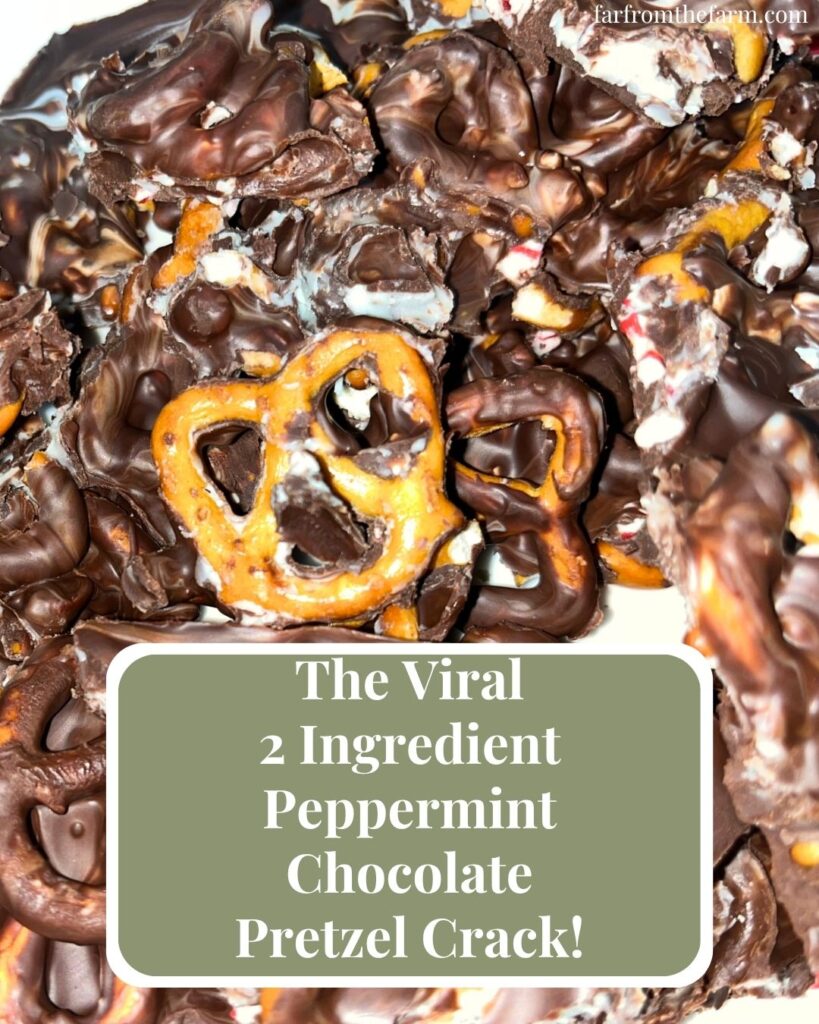The Best Peppermint Chocolate Pretzel Crack Recipe!