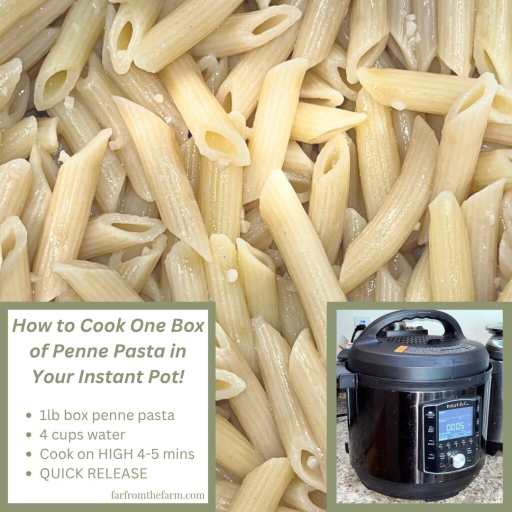 How to Cook One Box of Penne Pasta in Your Instant Pot!