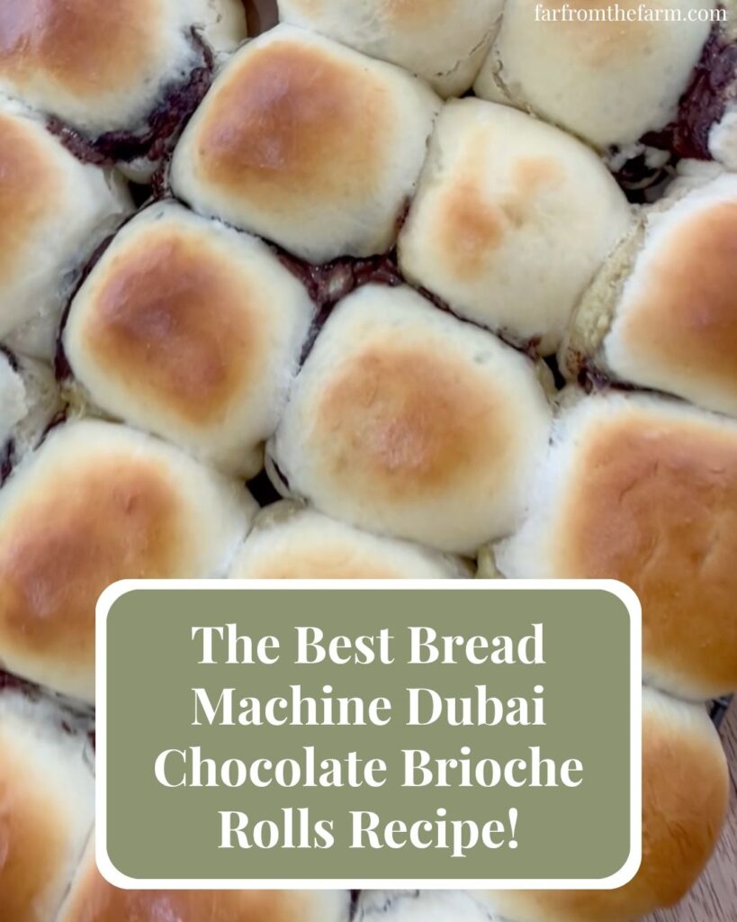 The Best Bread Machine Dubai Chocolate Brioche Rolls Recipe!