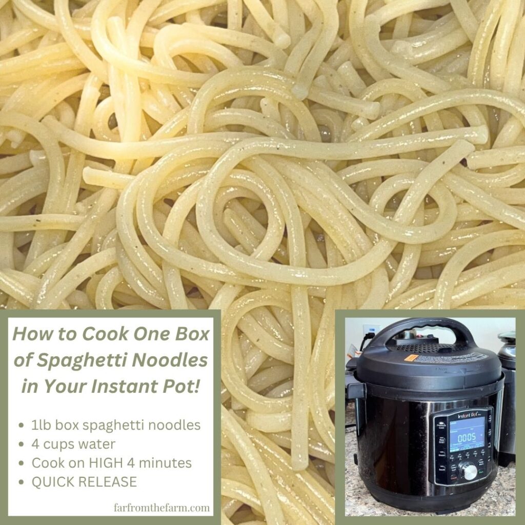 How to Cook One Box of Spaghetti Noodles in Your Instant Pot!