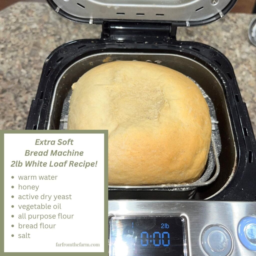 Extra Soft 2lb Bread Machine White Bread Recipe with Video!