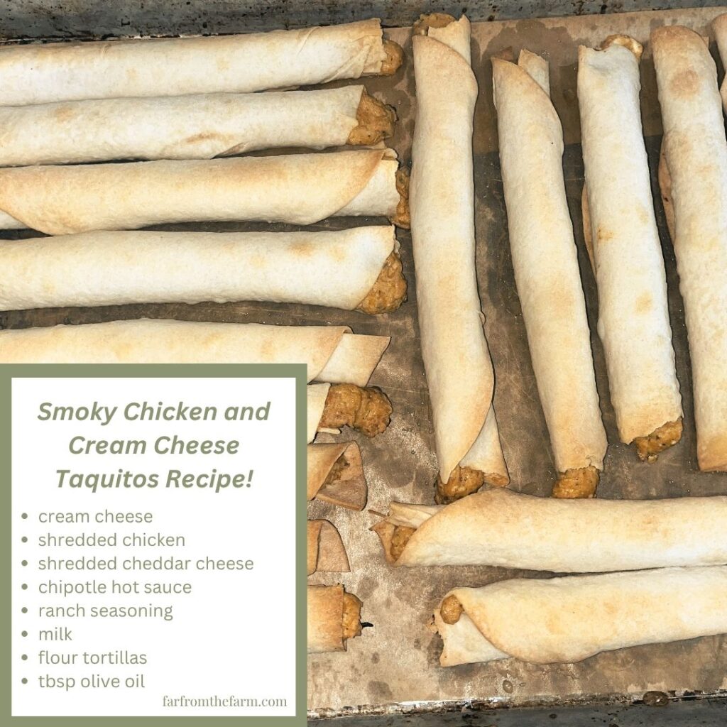 From Scratch Smoky Chicken and Cream Cheese Taquitos Recipe!