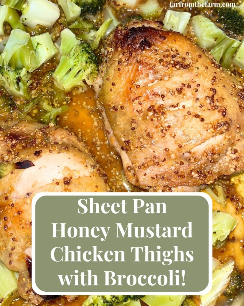 Sheet Pan Honey Mustard Chicken Thighs with Broccoli Recipe!