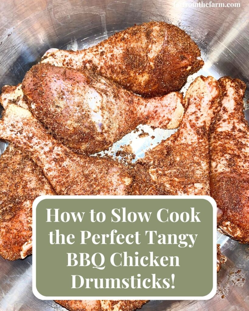 How to Slow Cook the Perfect Budget Tangy BBQ Chicken Drumsticks!
