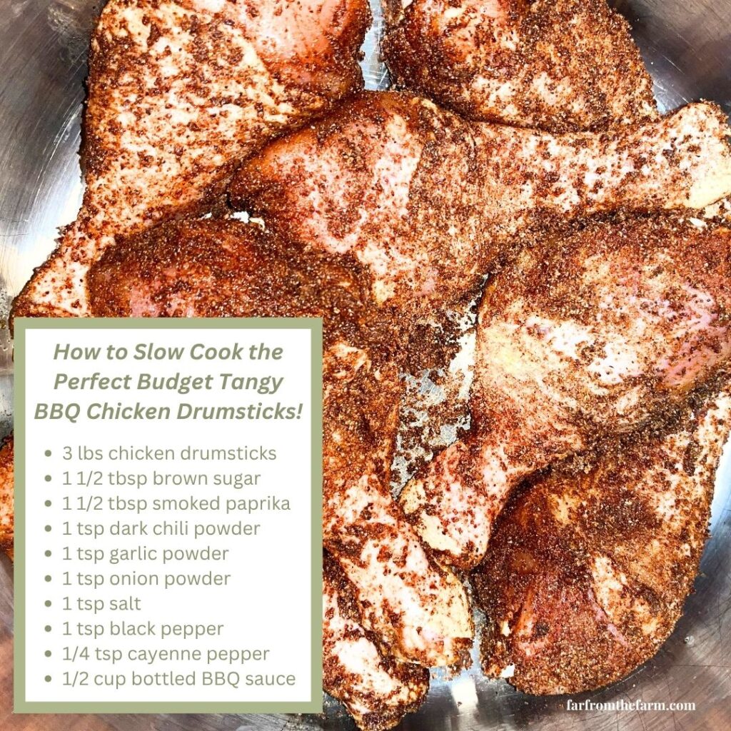 How to Slow Cook the Perfect Budget Tangy BBQ Chicken Drumsticks!