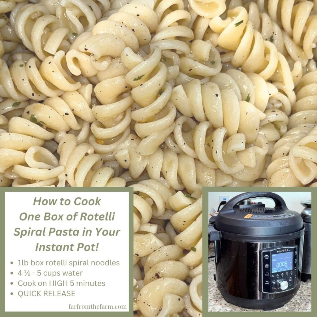 How to Cook One Box of Rotelli Spiral Pasta in Your Instant Pot!