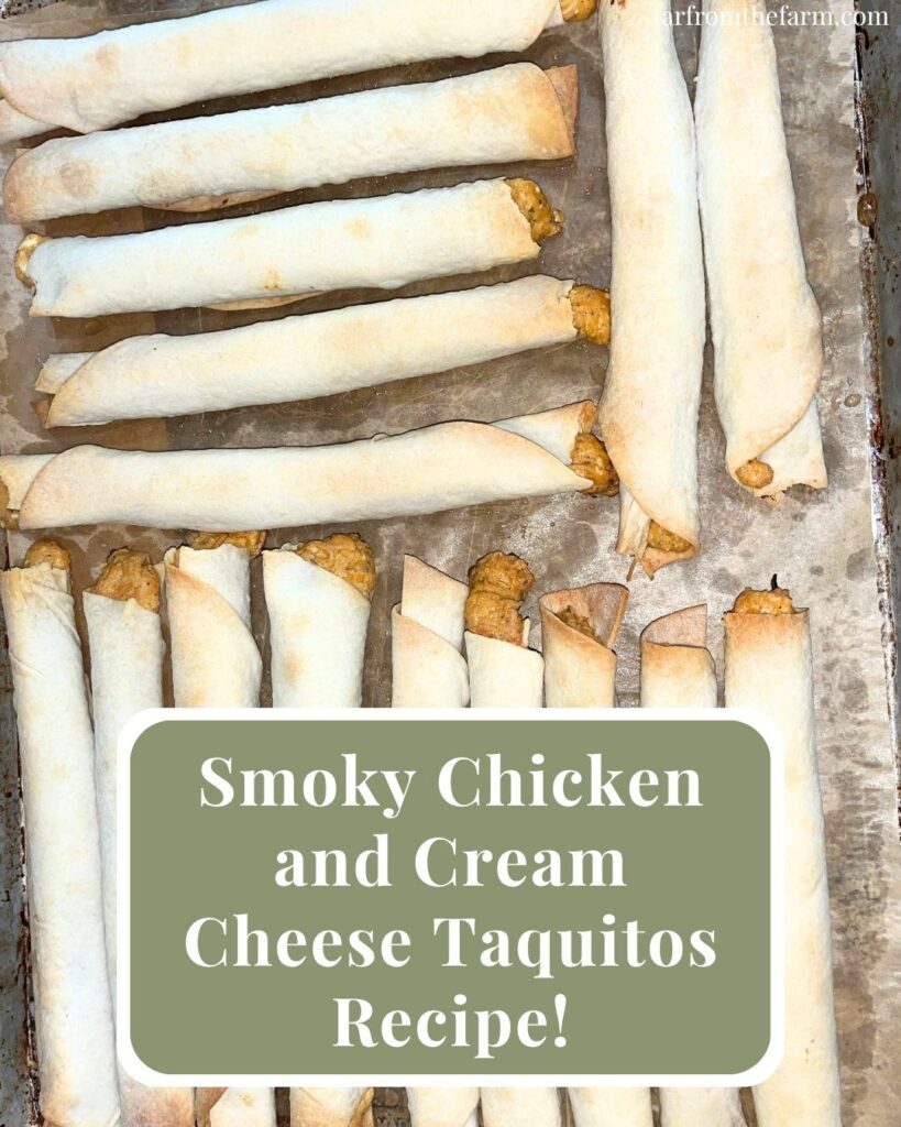 From Scratch Smoky Chicken and Cream Cheese Taquitos Recipe!