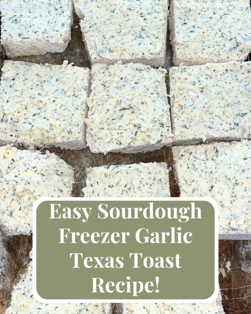 Easy Sourdough Freezer Garlic Texas Toast Recipe!