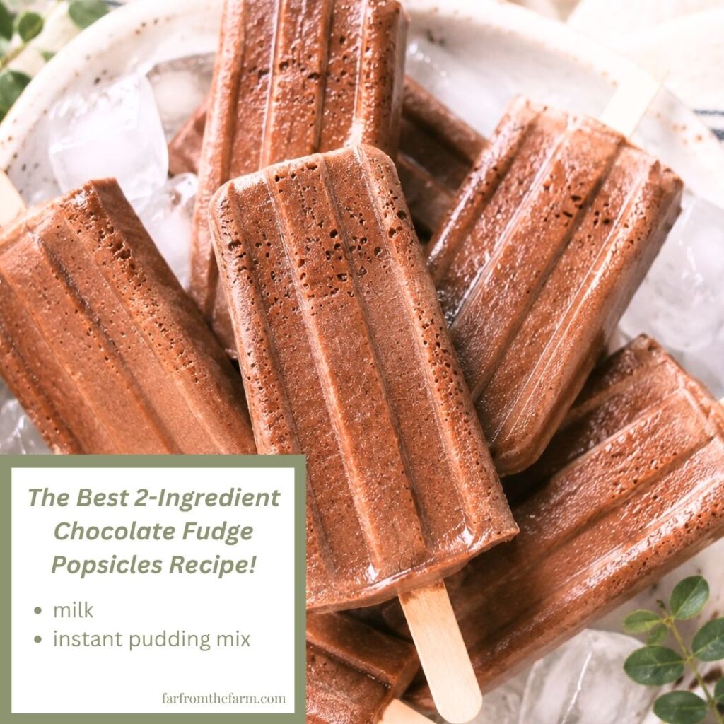 The Best 2-Ingredient Chocolate Fudge Popsicles Recipe!