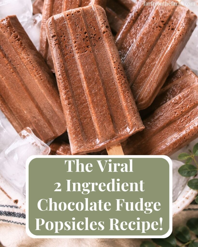 The Best 2-Ingredient Chocolate Fudge Popsicles Recipe!