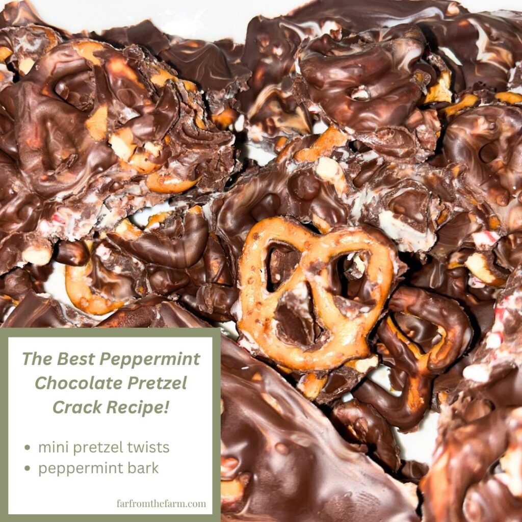 The Best Peppermint Chocolate Pretzel Crack Recipe!