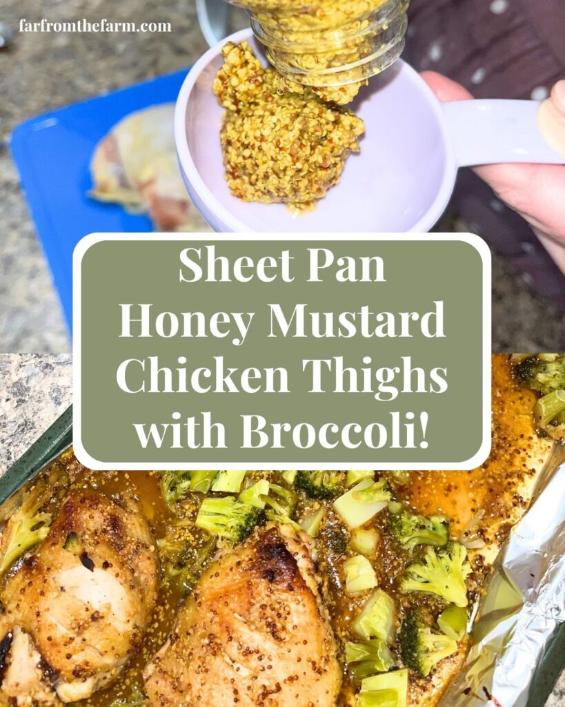Sheet Pan Honey Mustard Chicken Thighs with Broccoli Recipe!