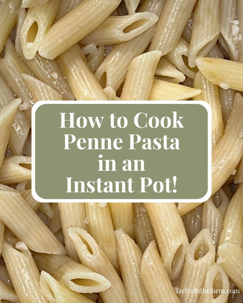 How to Cook One Box of Penne Pasta in Your Instant Pot!