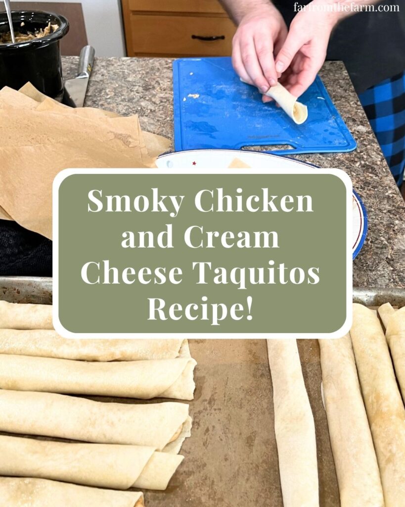 From Scratch Smoky Chicken and Cream Cheese Taquitos Recipe!