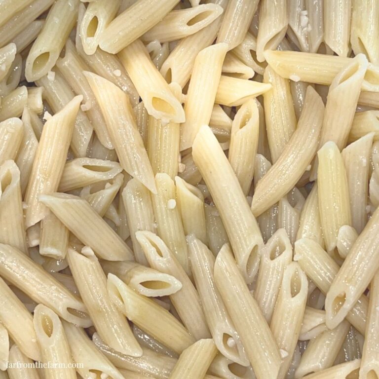 How to Cook One Box of Penne Pasta in Your Instant Pot!