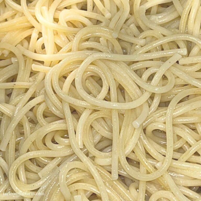 How to Cook One Box of Spaghetti Noodles in Your Instant Pot!