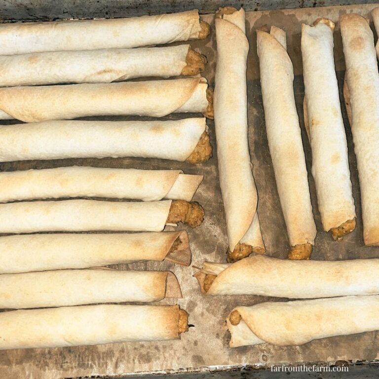 From Scratch Smoky Chicken and Cream Cheese Taquitos Recipe!