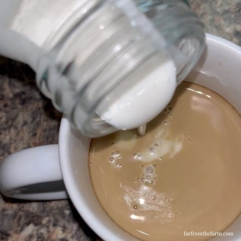 The Best Homemade Dairy-Free Hazelnut Coffee Creamer Recipe!