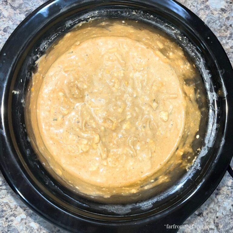 Smoky Chipotle Chicken Cream Cheese Slow Cooker Dip Recipe!
