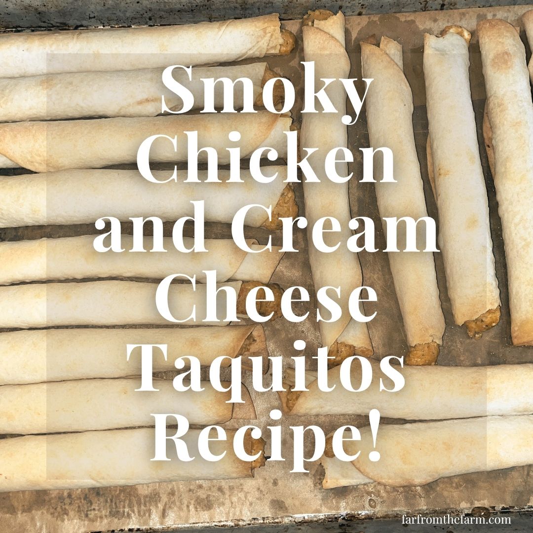 From Scratch Smoky Chicken and Cream Cheese Taquitos Recipe!