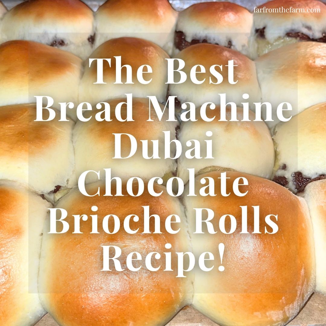 The Best Bread Machine Dubai Chocolate Brioche Rolls Recipe!