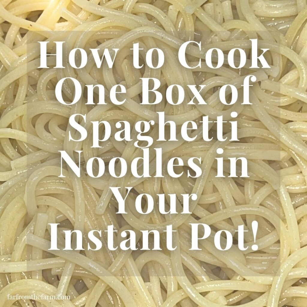 How to Cook One Box of Spaghetti Noodles in Your Instant Pot!