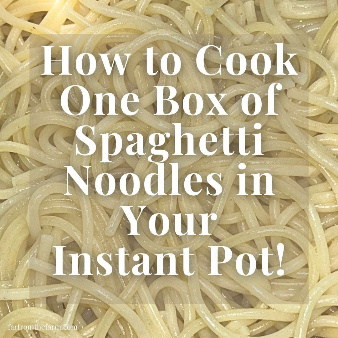 How to Cook One Box of Spaghetti Noodles in Your Instant Pot!