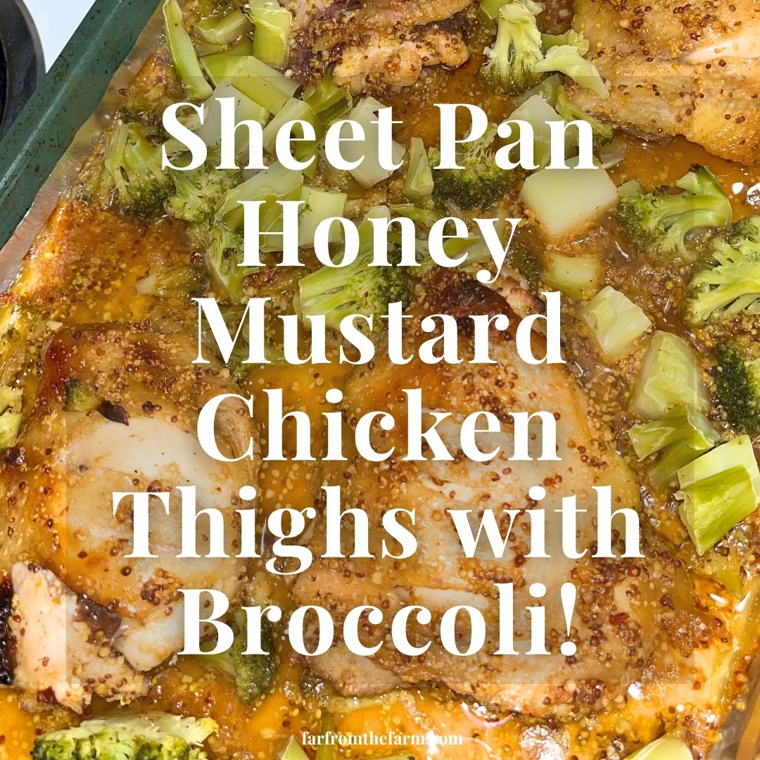 Sheet Pan Honey Mustard Chicken Thighs with Broccoli Recipe!