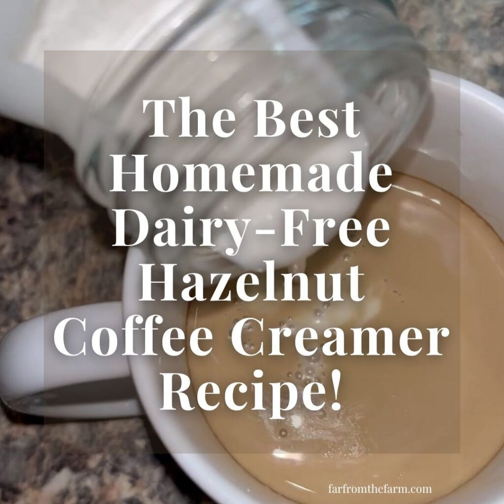 The Best Homemade Dairy-Free Hazelnut Coffee Creamer Recipe!
