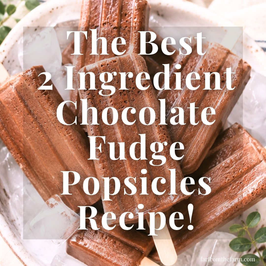 The Best 2-Ingredient Chocolate Fudge Popsicles Recipe!