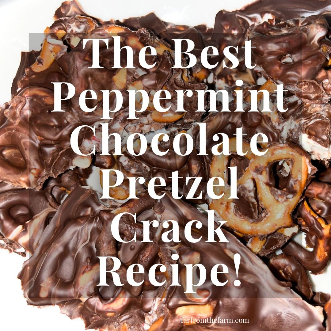 The Best Peppermint Chocolate Pretzel Crack Recipe!