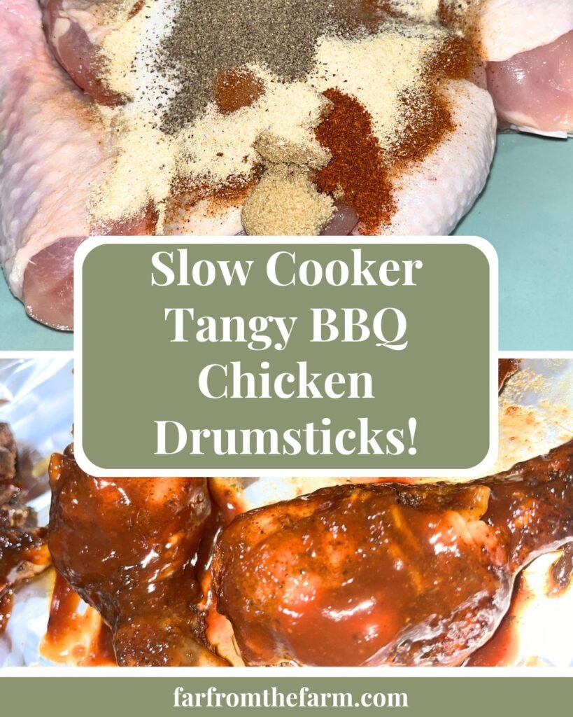 How to Slow Cook the Perfect Budget Tangy BBQ Chicken Drumsticks!