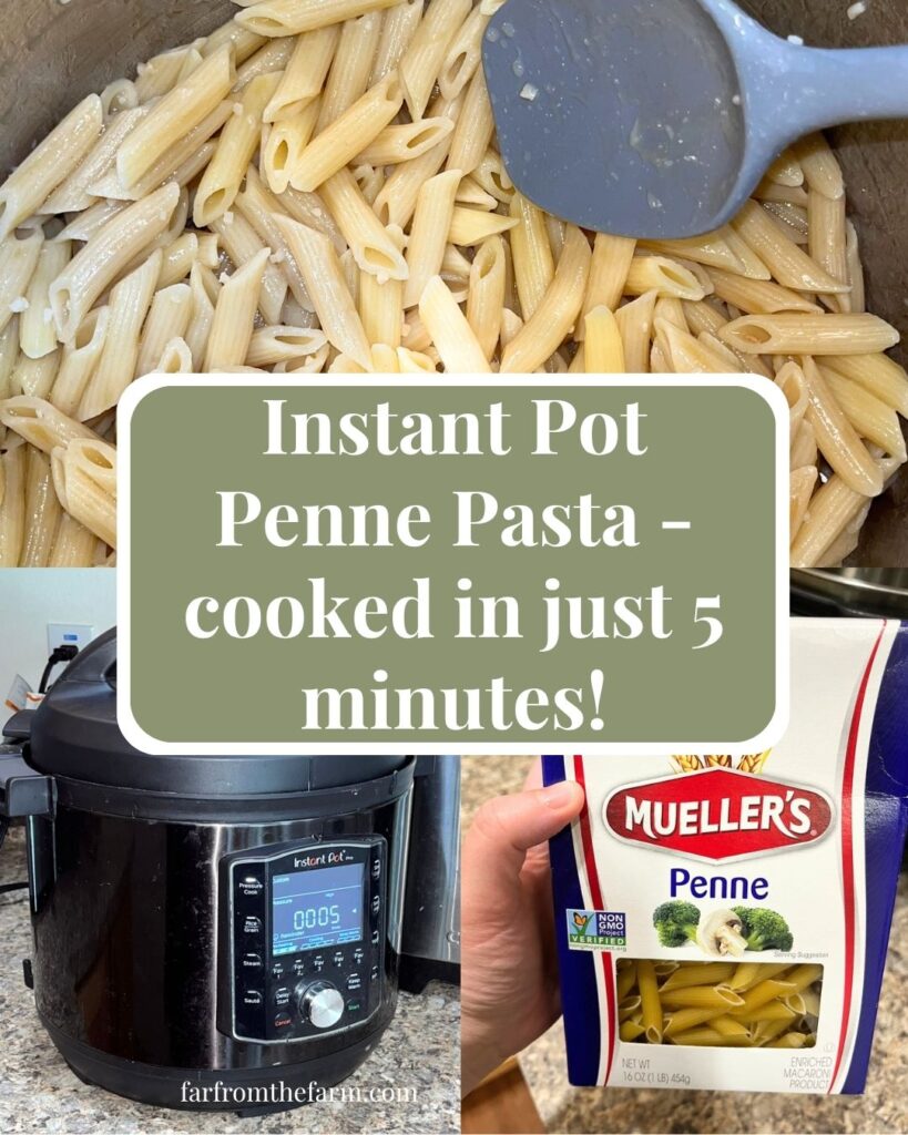 How to Cook One Box of Penne Pasta in Your Instant Pot!