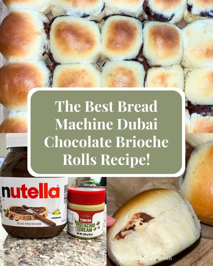 The Best Bread Machine Dubai Chocolate Brioche Rolls Recipe!