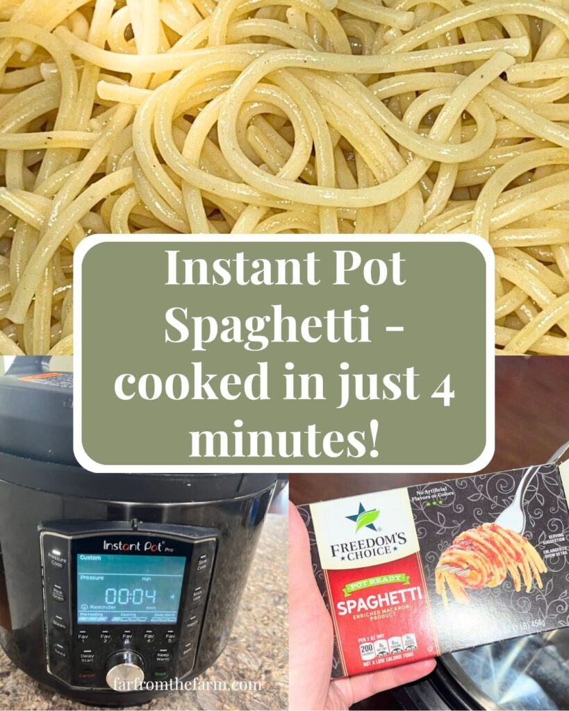 How to Cook One Box of Spaghetti Noodles in Your Instant Pot!