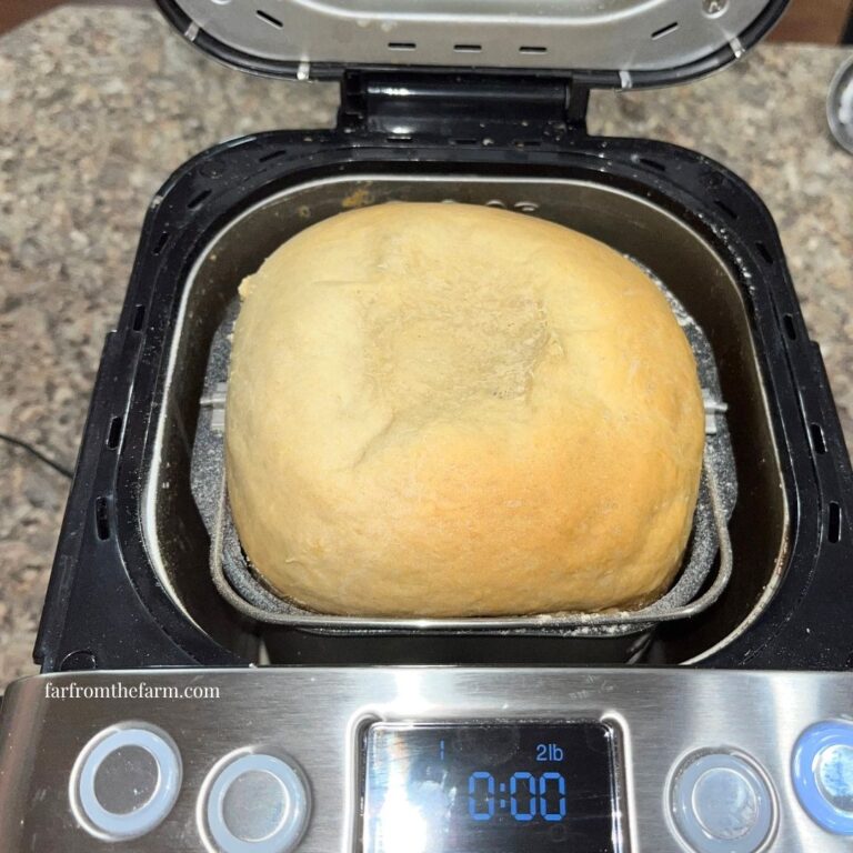 Extra Soft 2lb Bread Machine White Bread Recipe with Video!