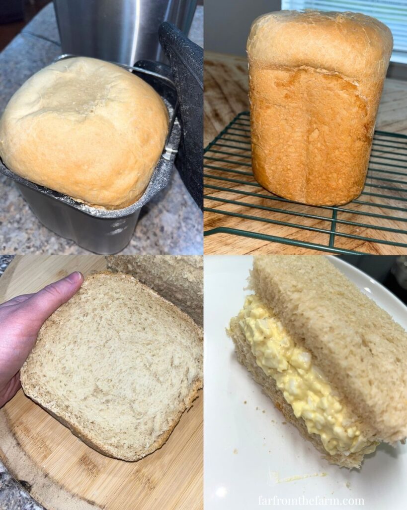 Extra Soft 2lb Bread Machine White Bread Recipe with Video!