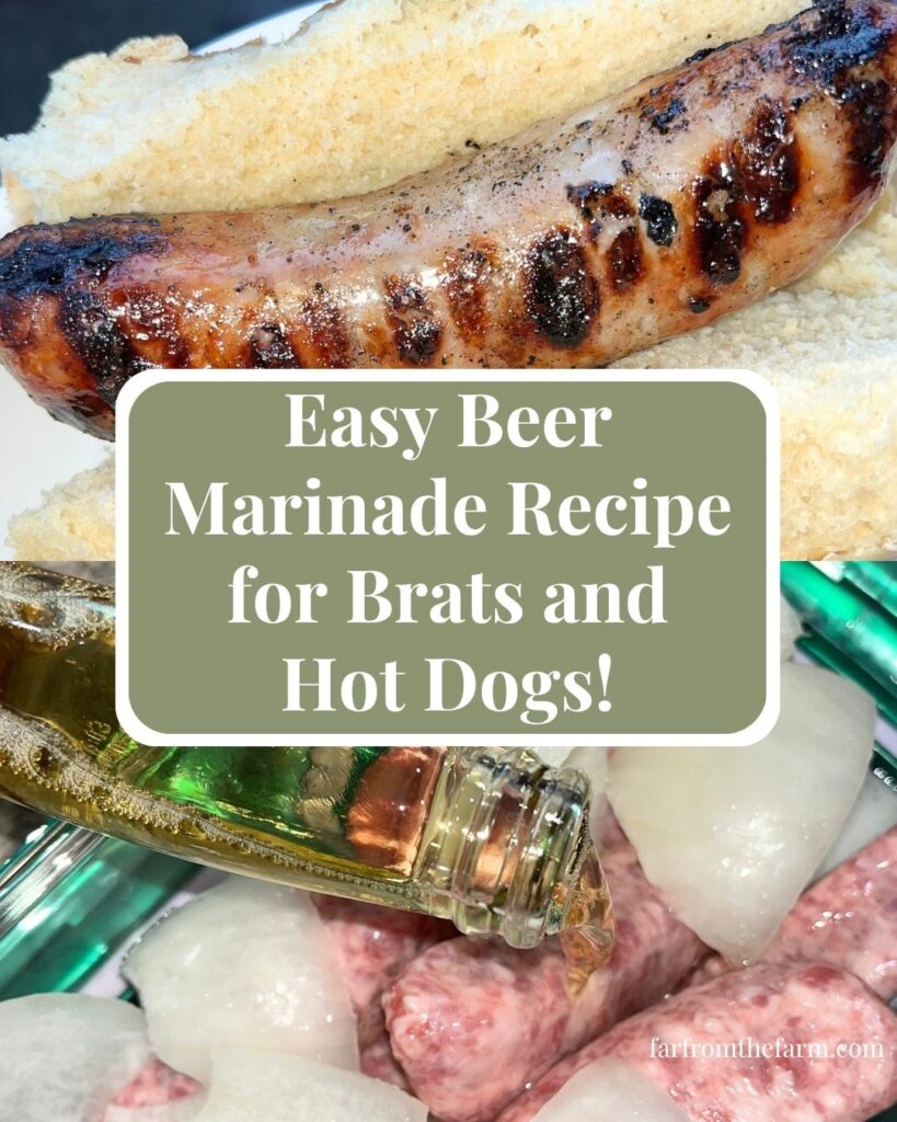 The Best Marinade Recipe for Perfect Beer Brats or Hot Dogs Every Time!