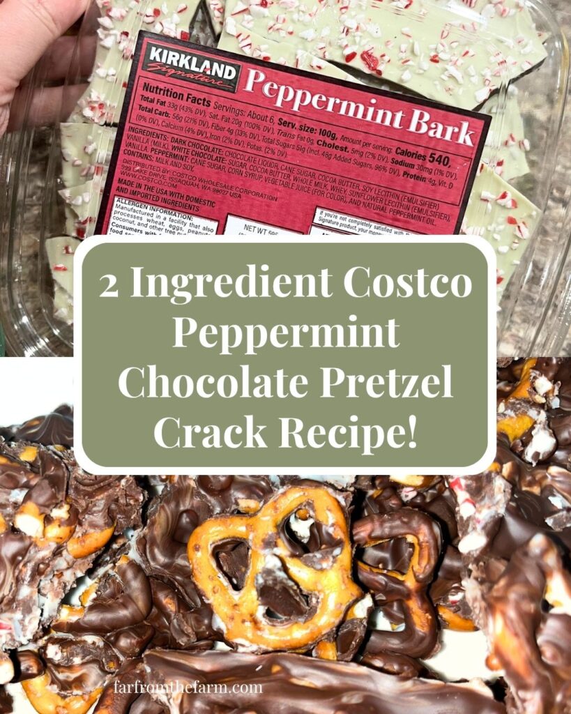 The Best Peppermint Chocolate Pretzel Crack Recipe!