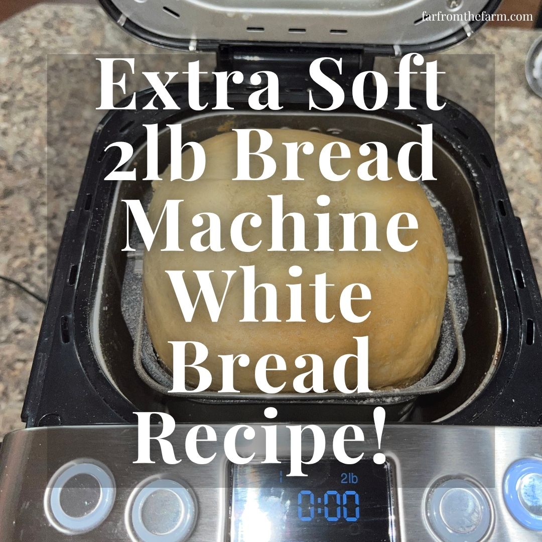 Extra Soft 2lb Bread Machine White Bread Recipe with Video!