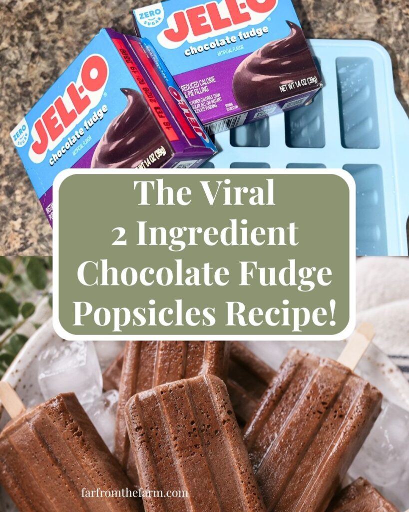 The Best 2-Ingredient Chocolate Fudge Popsicles Recipe!