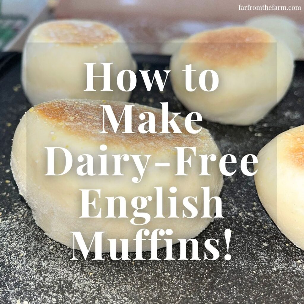 Dairy-Free English Muffin Recipe you can cook on a griddle or in the oven - with Far From The Farm farfromthefarm.com