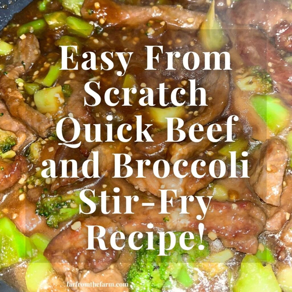 Easy From Scratch Quick Beef and Broccoli Stir-Fry Recipe!