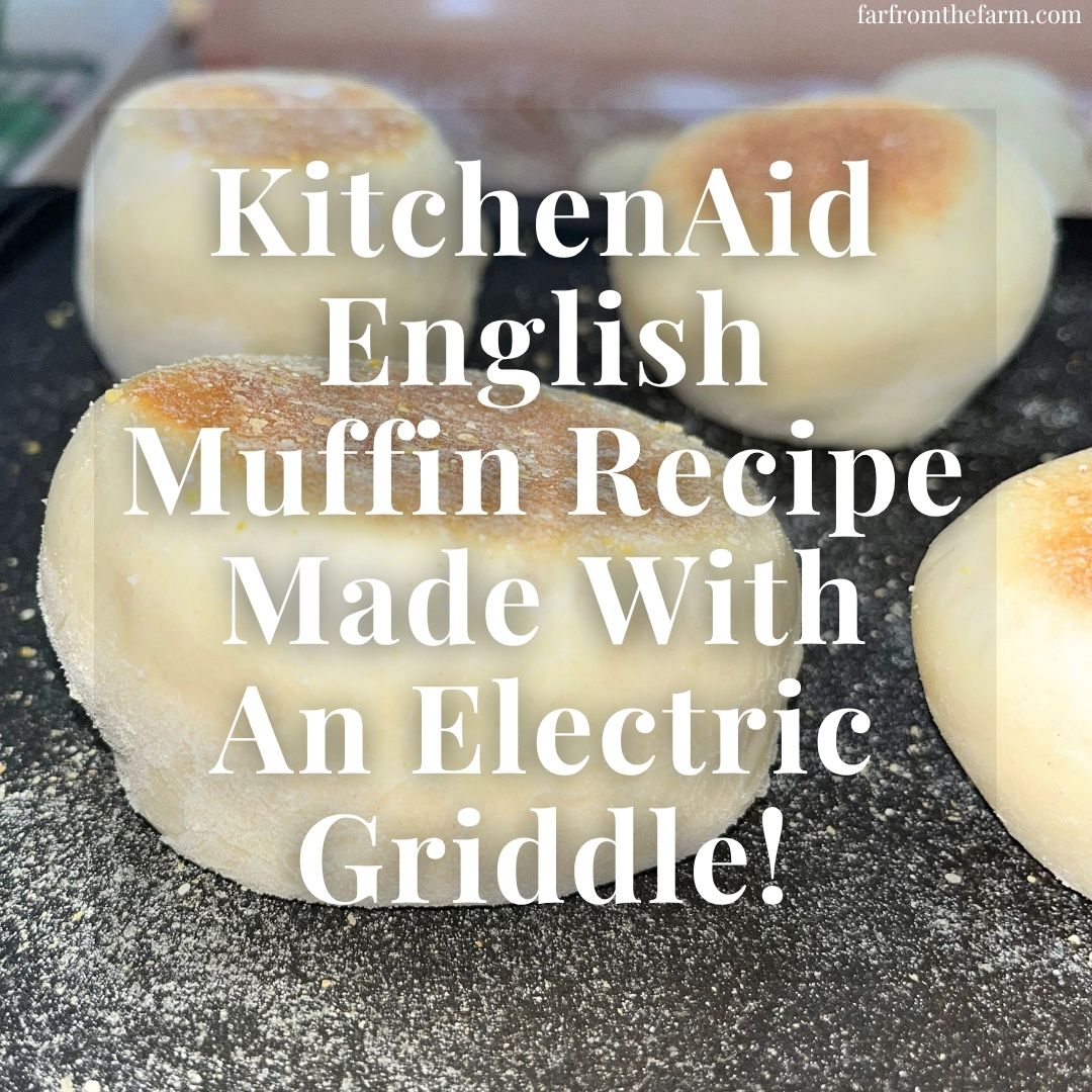 KitchenAid English Muffin Recipe Made With An Electric Griddle!