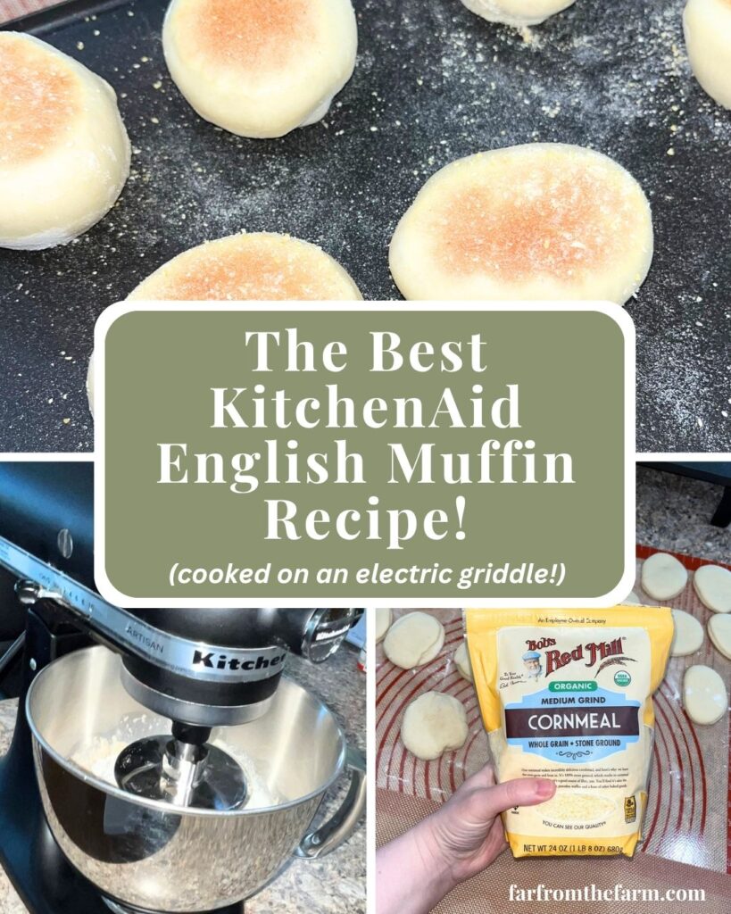 KitchenAid English Muffin Recipe - Cooked on an Electric Griddle!